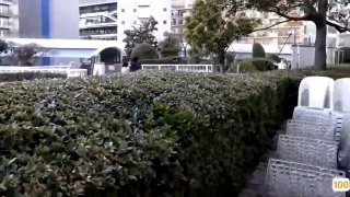 【小编推荐】同事表面是个乖乖女，其实是个骚货！操的我头皮发麻